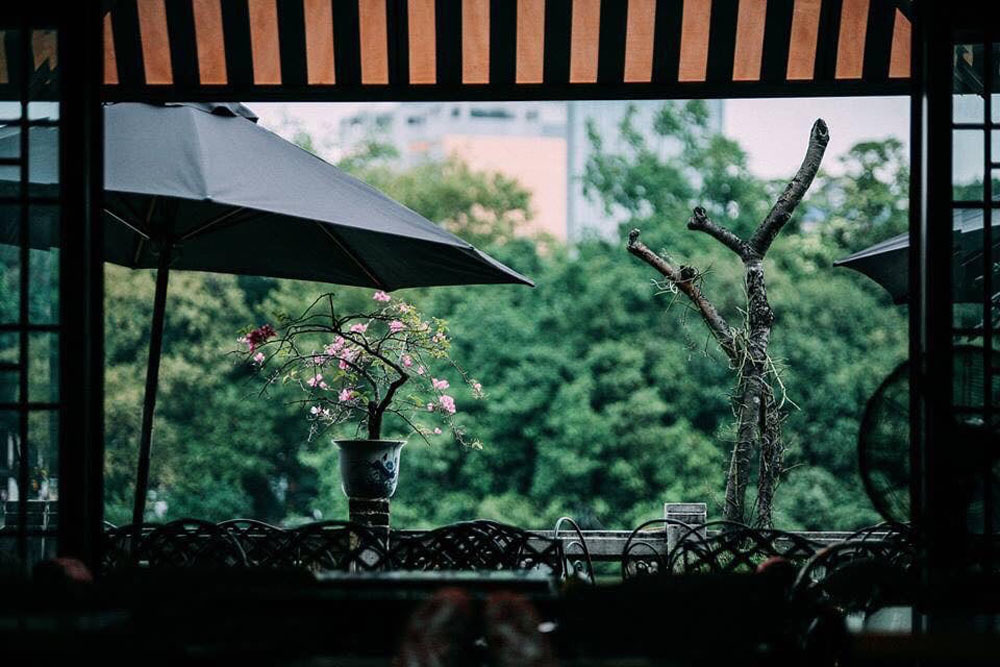 Yêu sếp cùng công ty, tôi mất cả chì lẫn chài-1