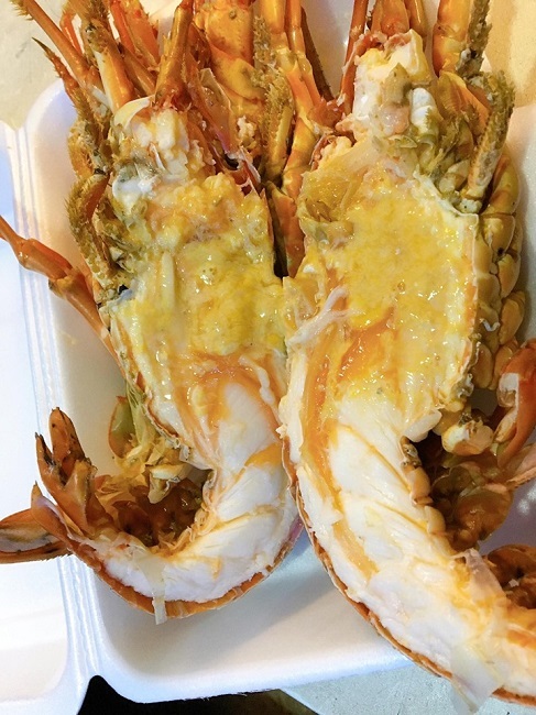 Chi tiền triệu mua tôm hùm, tá hỏa thấy miếng trắng dai như cao su-4