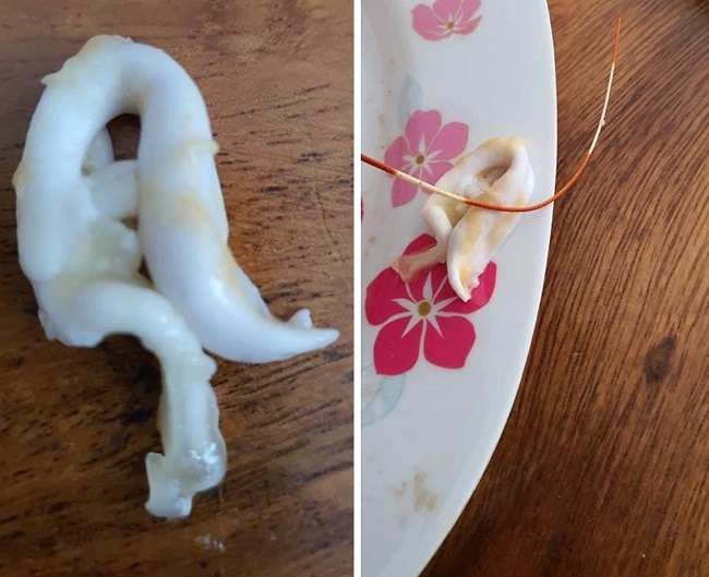 Chi tiền triệu mua tôm hùm, tá hỏa thấy miếng trắng dai như cao su-6