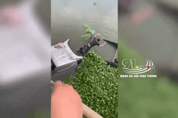 Xe đầu kéo lao thẳng xuống sông, chìm nghỉm trong đám bèo và khoảnh khắc tài xế lồm cồm bò ra ngoài