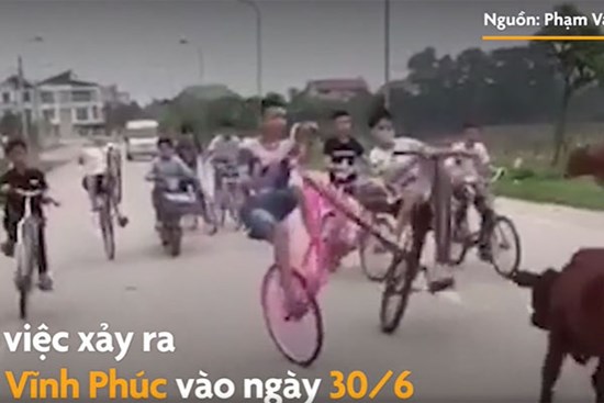 Nhóm thiếu niên đi xe đạp dàn hàng, bốc đầu xe