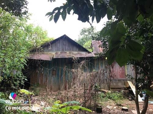 Vợ chồng 9X lên Đà Lạt dựng nhà bằng trợ cấp thất nghiệp, nhìn chỉ muốn bỏ phố về quê-2