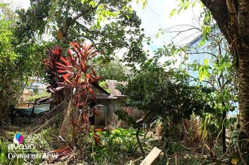 Vợ chồng 9X lên Đà Lạt dựng nhà bằng trợ cấp thất nghiệp, nhìn chỉ muốn bỏ phố về quê-4