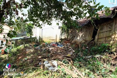 Vợ chồng 9X lên Đà Lạt dựng nhà bằng trợ cấp thất nghiệp, nhìn chỉ muốn bỏ phố về quê-5