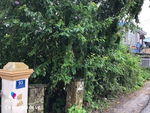 Vợ chồng 9X lên Đà Lạt dựng nhà bằng trợ cấp thất nghiệp, nhìn chỉ muốn bỏ phố về quê-7