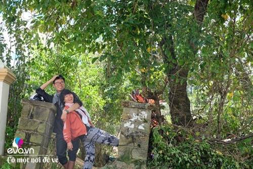 Vợ chồng 9X lên Đà Lạt dựng nhà bằng trợ cấp thất nghiệp, nhìn chỉ muốn bỏ phố về quê-8