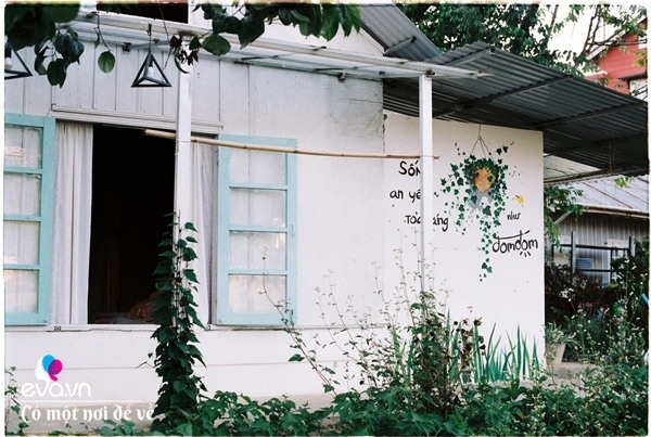 Vợ chồng 9X lên Đà Lạt dựng nhà bằng trợ cấp thất nghiệp, nhìn chỉ muốn bỏ phố về quê-14