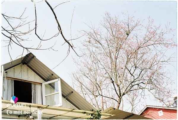 Vợ chồng 9X lên Đà Lạt dựng nhà bằng trợ cấp thất nghiệp, nhìn chỉ muốn bỏ phố về quê-15