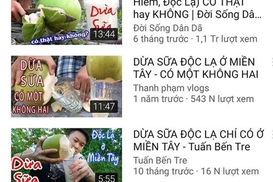 Dừa sữa bán đầy vỉa hè, người bán cây giống tại Bến Tre tiết lộ sự thật