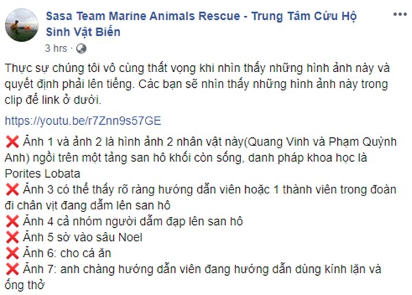 Quang Vinh và Phạm Quỳnh Anh bất ngờ bị lên án vì hành động phá hoại tài nguyên thiên nhiên biển-1