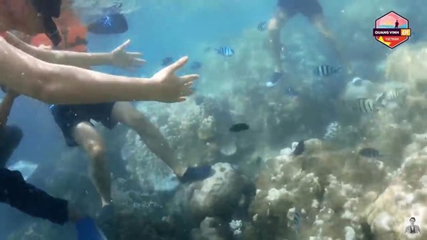 Quang Vinh và Phạm Quỳnh Anh bất ngờ bị lên án vì hành động phá hoại tài nguyên thiên nhiên biển-4