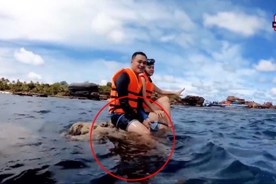 Quang Vinh và Phạm Quỳnh Anh bất ngờ bị lên án vì hành động phá hoại tài nguyên thiên nhiên biển