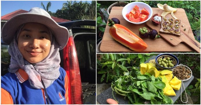 Cô gái 27 tuổi quyết định về quê sống cuộc đời bình dị, trồng rau, làm vườn sau khi tốt nghiệp thạc sĩ ở Thủ đô-4