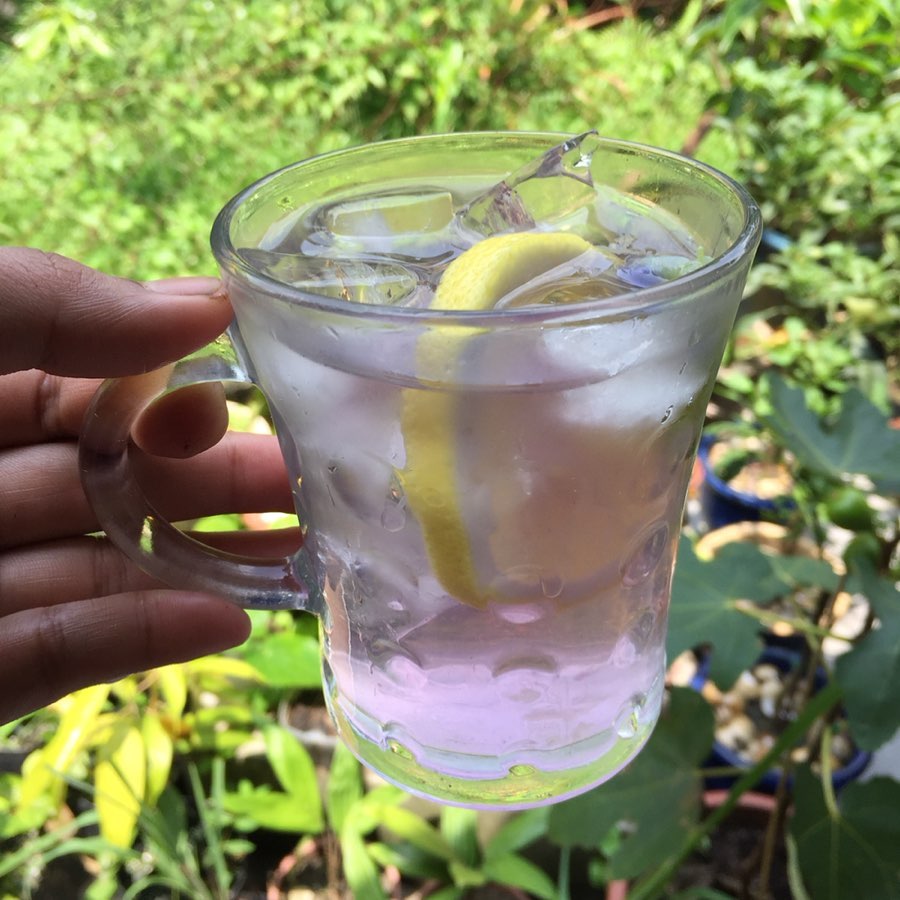 Cô gái 27 tuổi quyết định về quê sống cuộc đời bình dị, trồng rau, làm vườn sau khi tốt nghiệp thạc sĩ ở Thủ đô-17