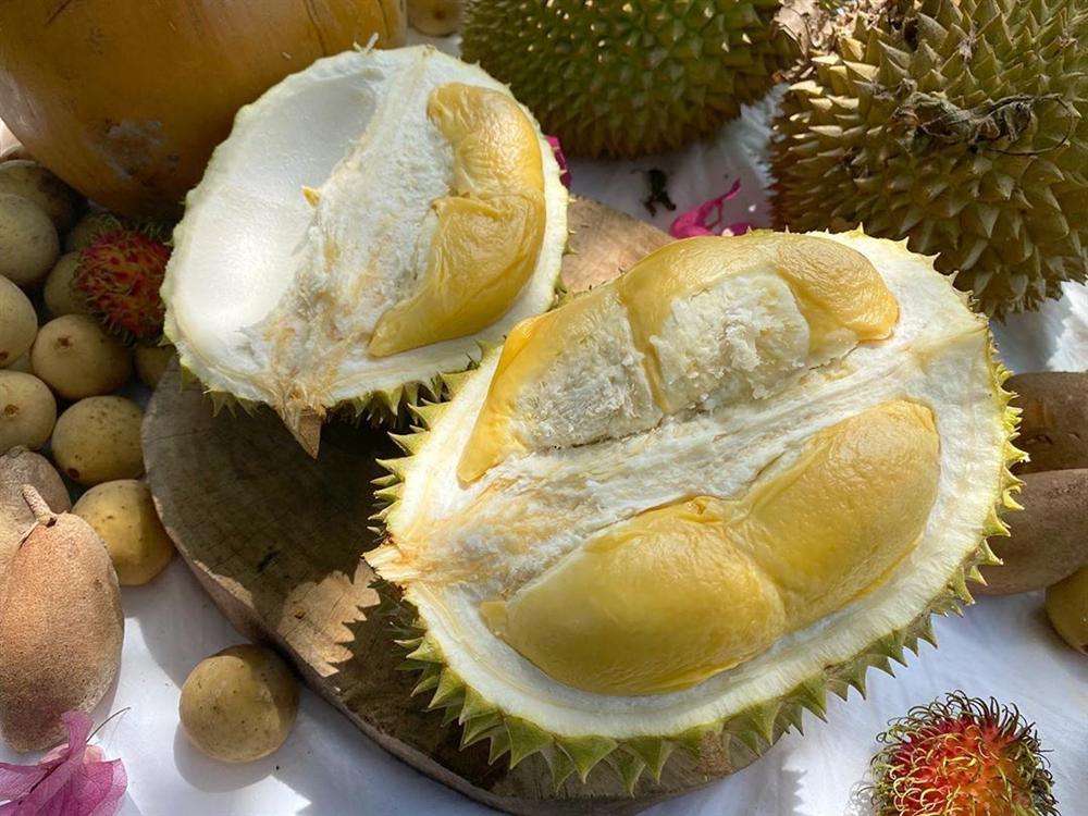 Cô gái 27 tuổi quyết định về quê sống cuộc đời bình dị, trồng rau, làm vườn sau khi tốt nghiệp thạc sĩ ở Thủ đô-19
