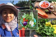Cô gái 27 tuổi quyết định về quê sống cuộc đời bình dị, trồng rau, làm vườn sau khi tốt nghiệp thạc sĩ ở Thủ đô