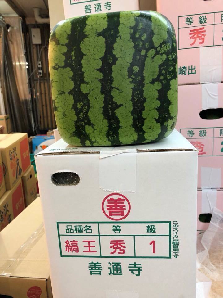 4,5 triệu đồng một quả dưa hấu, nhà giàu Việt vẫn không tiếc tiền-3