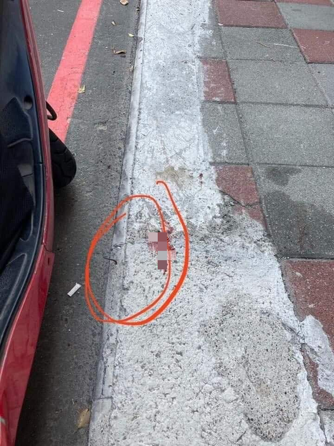 Góc oái oăm: Đang đi đường bỗng dưng đổ máu vì vật thể lạ mọc lên từ vỉa hè-2