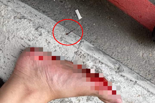 Bị dán 3 mảnh giấy với nội dung đầy tức giận phía sau xe, tài xế không biết gì, vẫn chạy trên đường-4