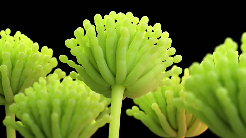 WHO cảnh báo 7 thói quen nguy hiểm trong cuộc sống thúc đẩy ung thư rất nhanh, dù ở độ tuổi nào bạn cũng nên cảnh giác-6
