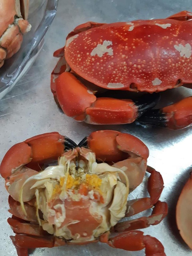 Ăn như cua hoàng đế, cả cân chưa được 1 lạng thịt chị em vẫn tranh mua-1