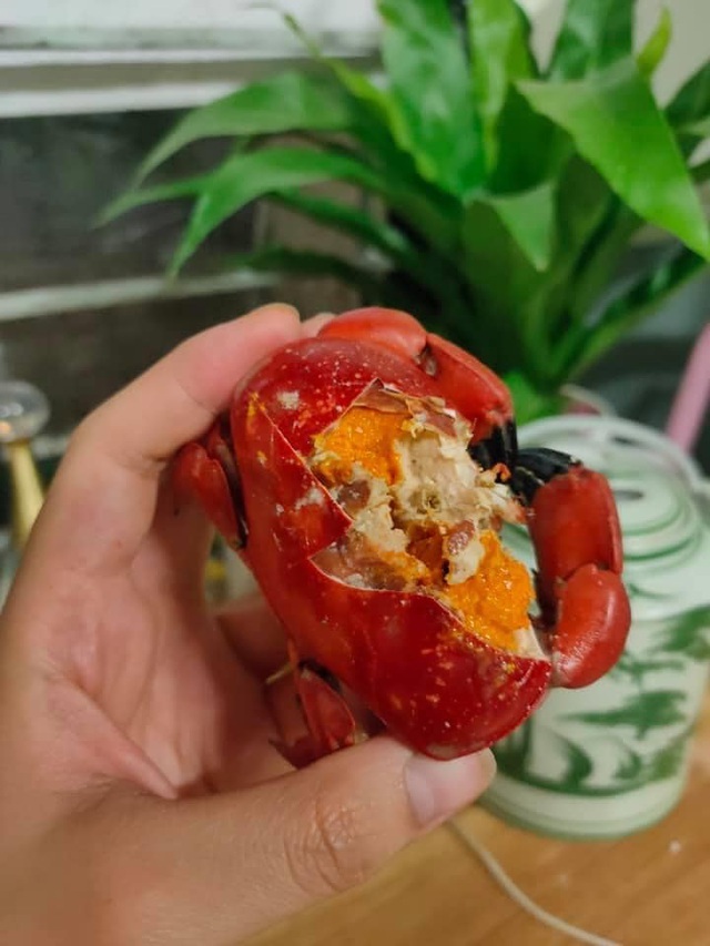 Ăn như cua hoàng đế, cả cân chưa được 1 lạng thịt chị em vẫn tranh mua-3