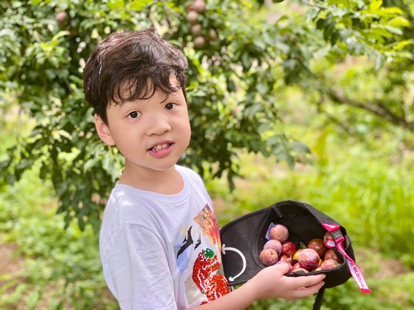Đan Lê chia sẻ chuyện con có phải trở thành nhà vô địch, nghe xong mẹ nào cũng gật gù tán thưởng-3