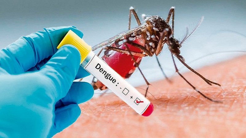 6 hiểu lầm nguy hiểm về bệnh sốt xuất huyết có thể khiến người bệnh tử vong-3