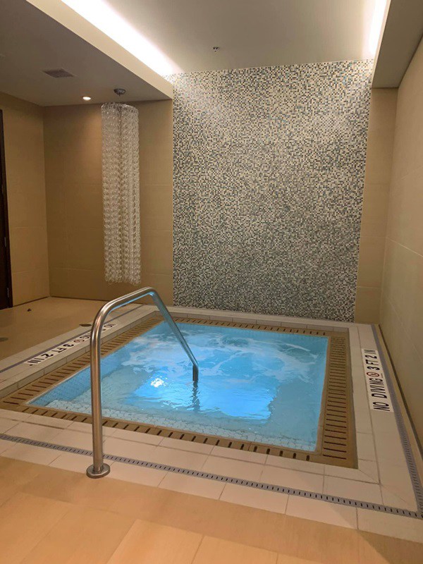 Sao Việt bên trời Tây: Phạm Hương ở nơi sang chảnh, Đan Trường nhà rộng phải thuê 6 giúp việc-11