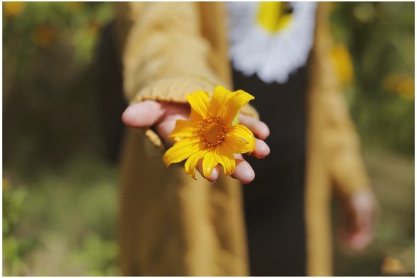 Tử vi Chủ nhật ngày 5/7/2020 của 12 con giáp: Hợi vui vẻ thoải mái, Tý cần chỉn chu hơn-2