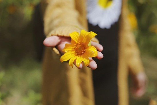 Tử vi Chủ nhật ngày 5/7/2020 của 12 con giáp: Hợi vui vẻ thoải mái, Tý cần chỉn chu hơn