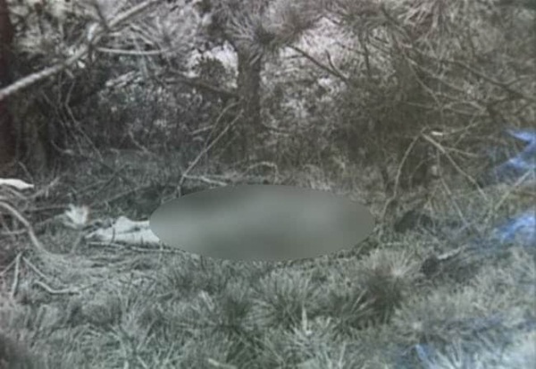 Thi thể trên cồn cát mở ra vụ án bí ẩn và bóng dáng nữ diễn viên quần chúng trong phim Hàm cá mập là câu trả lời cho mọi thứ?-1