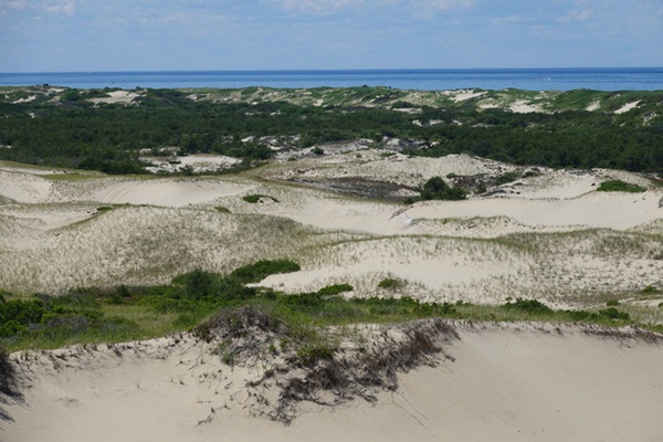 Thi thể trên cồn cát mở ra vụ án bí ẩn và bóng dáng nữ diễn viên quần chúng trong phim Hàm cá mập là câu trả lời cho mọi thứ?-2