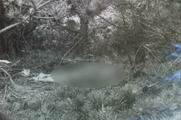 Ngư dân câu được cá mập mặt người, gương mặt thảng thốt kỳ dị khiến cả thuyền quay luôn về bờ vì nghĩ là quái vật-3