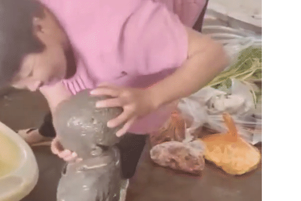 Cười xỉu cảnh bé trai đang đi thì bị