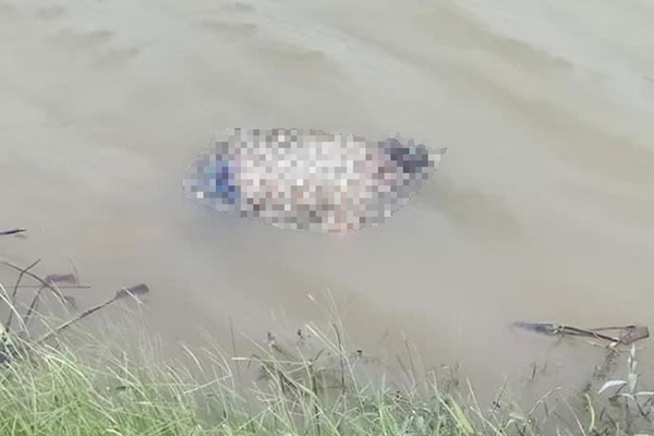 Ba mẹ con buộc vào nhau nổi trên sông ở Bắc Giang-1