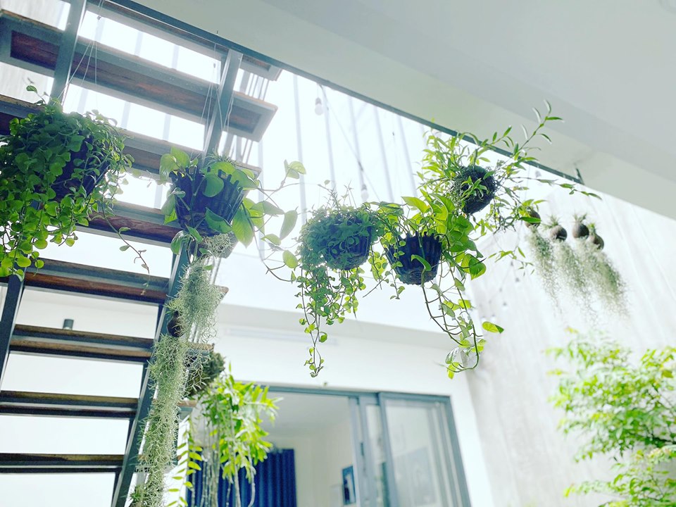 Mất 2 năm để tiết kiệm 1.9 tỷ để mua đất xây nhà, vợ chồng trẻ đã thực hiện giấc mơ với ngôi nhà nhỏ xinh trong con hẻm nhỏ nằm giữa lòng phố núi-6