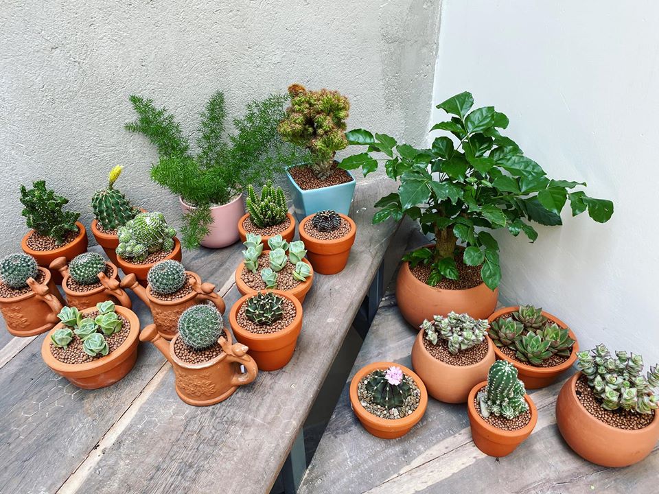 Mất 2 năm để tiết kiệm 1.9 tỷ để mua đất xây nhà, vợ chồng trẻ đã thực hiện giấc mơ với ngôi nhà nhỏ xinh trong con hẻm nhỏ nằm giữa lòng phố núi-9