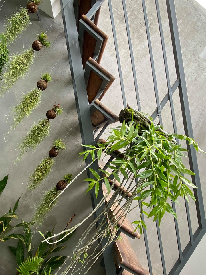 Mất 2 năm để tiết kiệm 1.9 tỷ để mua đất xây nhà, vợ chồng trẻ đã thực hiện giấc mơ với ngôi nhà nhỏ xinh trong con hẻm nhỏ nằm giữa lòng phố núi-11