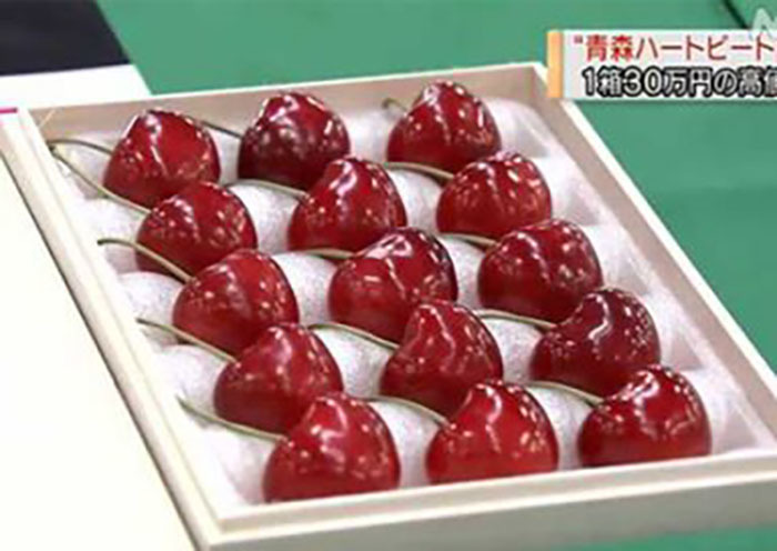 Cherry Nhật kỷ lục 64 triệu 15 quả, về Việt Nam giá 6,6 triệu/kg-2