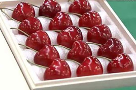 Cherry Nhật kỷ lục 64 triệu 15 quả, về Việt Nam giá 6,6 triệu/kg