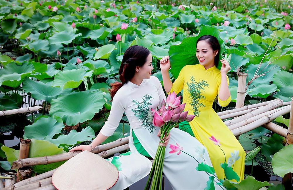 Thu nhập khủng nhờ trồng sen Hồ Tây-10