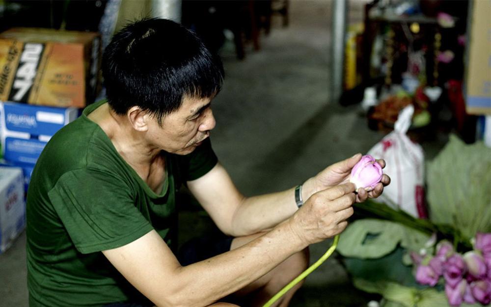 Thu nhập khủng nhờ trồng sen Hồ Tây-12