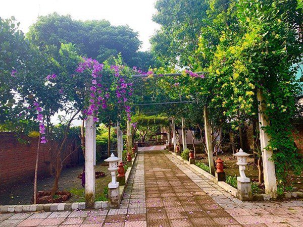 Quang Tèo - Giang Còi 1 đời đi diễn cùng nhau, về già mua nhà vườn trồng rau, dưỡng già-2