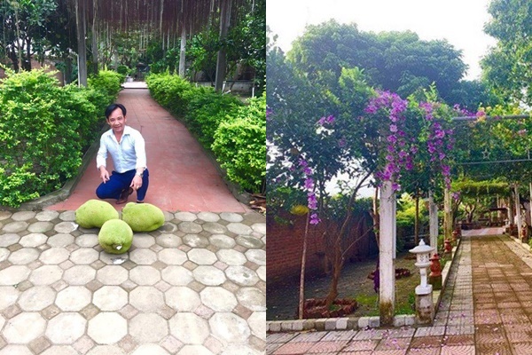 Nghệ sĩ Quang Tèo khoe khu vườn nhỏ muôn hoa đua sắc trước căn chung cư 7 tỷ đồng-11
