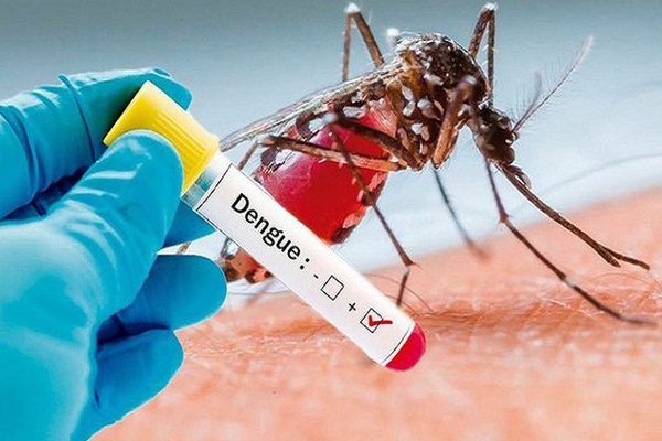 Hà Nội tăng mạnh ca mắc sốt xuất huyết, nhiều ổ dịch phức tạp-1