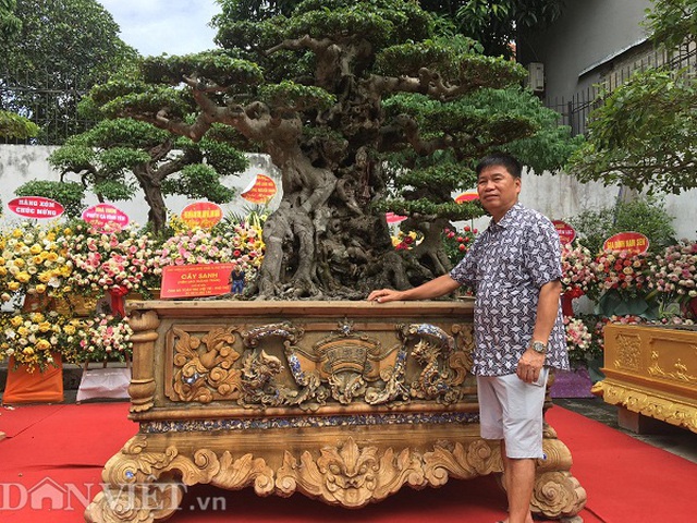 Hoa mắt với báu vật sanh cổ Tiên lão giáng trần dáng chưa từng có giá ngang biệt thự-1