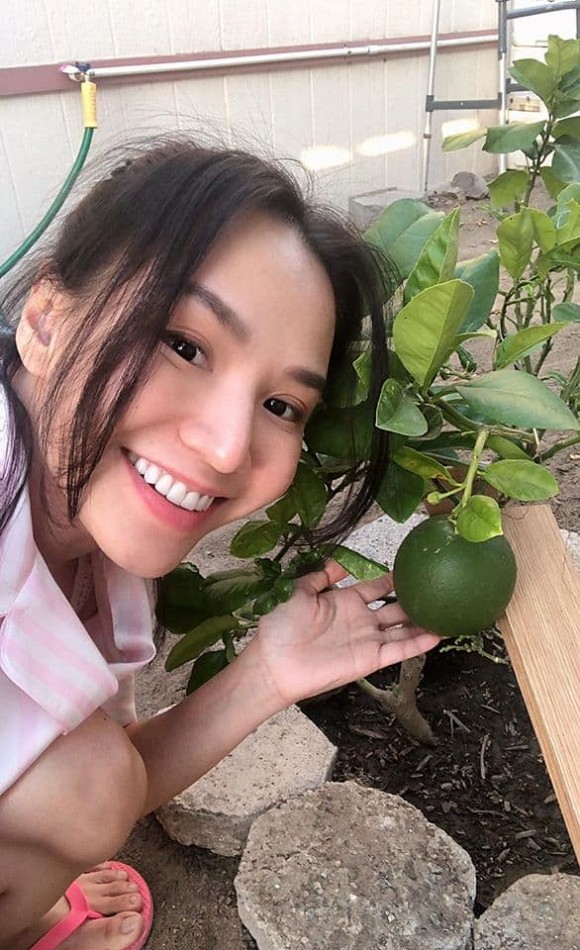 Khu vườn cây trái nhỏ xinh của vợ chồng Baggio ở Mỹ-5