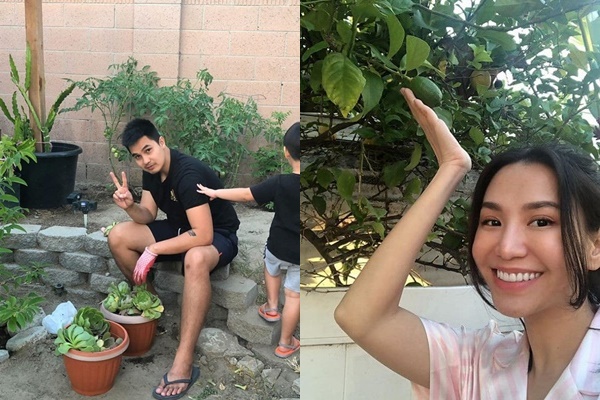 Chỉ tốn hơn 1 triệu đồng, mẹ trẻ biến hình mảnh đất nhỏ trở thành khu vườn trồng xương rồng, sen đá đẹp mê mẩn ở Đà Lạt-28