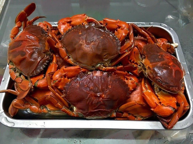 Loại cua 2 da đặc biệt khiến người nuôi không muốn bán dù được trả triệu đồng/kg-2